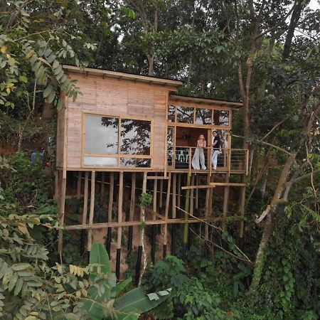 Villa Luxury Tiny House - Minca Esterno foto